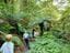 Mount Tomah Botanic Gardens Image -5b4188108967d
